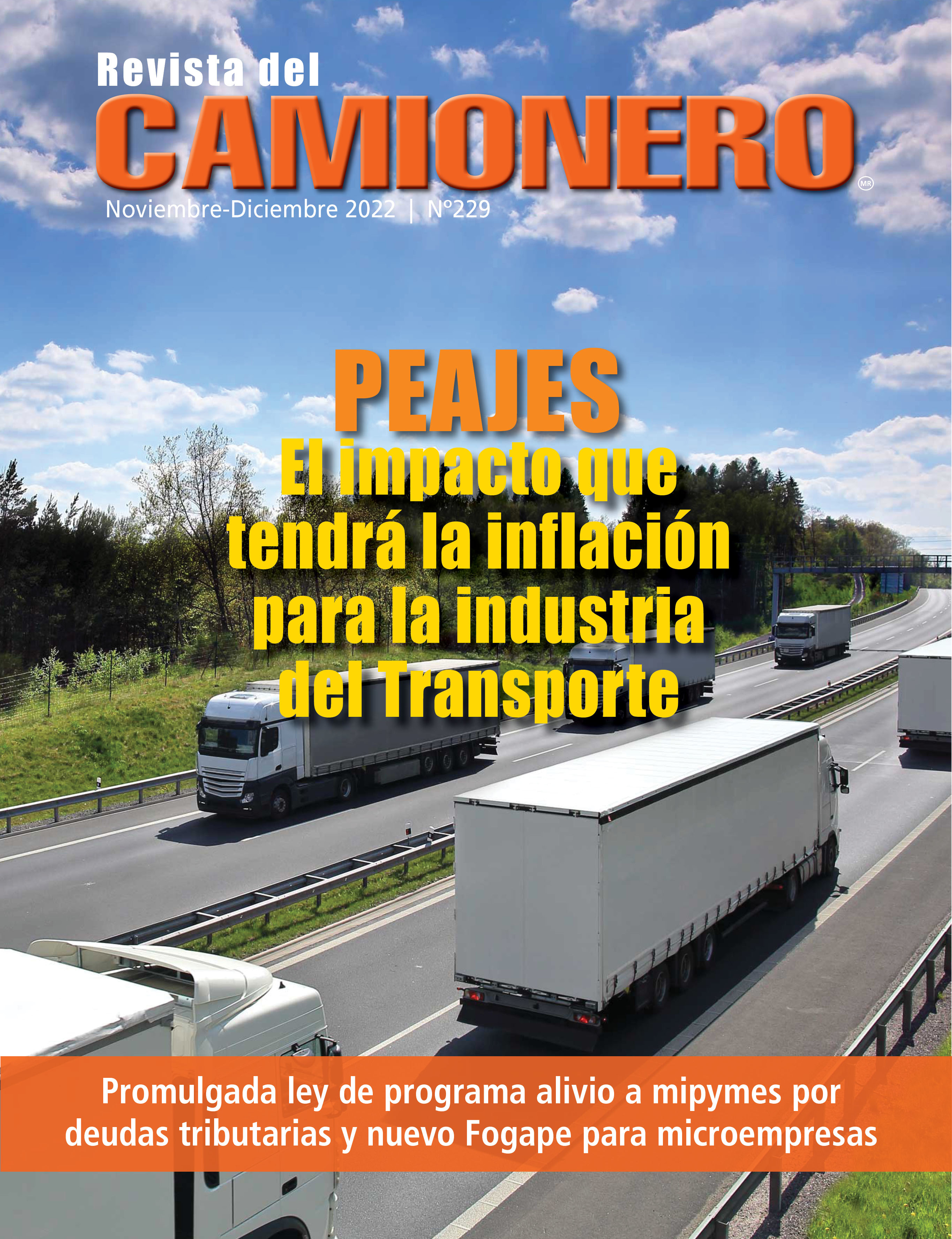 Noviembre-Diciembre 2022